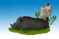 Sad Rhino Royalty Free Stock Photo