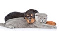 Sad rottweiler puppy embracing cute kitten. Isolated on white Royalty Free Stock Photo