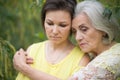 Sad senior woman with adult daughter in park Royalty Free Stock Photo