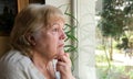 Sad senior woman looking out the window. Lonely old grandmother alone at home Royalty Free Stock Photo