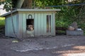 A sad shepherd dog sits in a booth on a chain and looks away. Nearby are bowls for food.