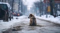 Lonely sad stray dirty dog sitting on the town street in winter