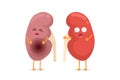 Sad suffering sick and cute healthy amazement surviving kidney characters. Human anatomy genitourinary system internal