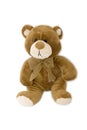 Sad teddy bear Royalty Free Stock Photo