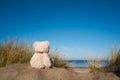 Sad teddy bear on the beach of the Baltic Sea Royalty Free Stock Photo