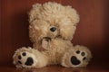 Sad teddy bear Royalty Free Stock Photo