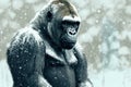 Sad tropical monkey freezing outdoors in winter. African gorilla portrait in snowfall. Wildlife and climate change, eco problem