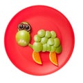 Sad turtle made of fresh fruits Royalty Free Stock Photo