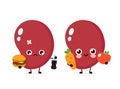 Sad unhealthy and happy strong human spleen organ