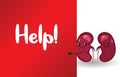 The sad unhealthy sick kidney asks for help with red label and white background. Royalty Free Stock Photo