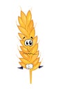 Sad wheat cartoon
