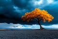 A sad willow tree standing alone in a vast field, with the wind gently rustling its leaves, under a somber, cloudy sky Royalty Free Stock Photo