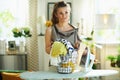 Sad woman with iron, clothes basket at modern home in sunny day Royalty Free Stock Photo