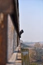 Sad young man standing on the edge of bridge. Looking away thi Royalty Free Stock Photo