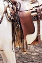 Saddle