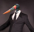 Saddle billed stork head in a black suit Royalty Free Stock Photo