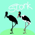 saddle -billed stork vector illustration style Flat black Royalty Free Stock Photo