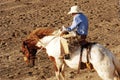 Saddle Bronc Royalty Free Stock Photo