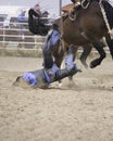 Saddle Bronc Fail Royalty Free Stock Photo