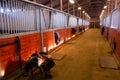 Saddle Center Path Horse Paddack Equestrian Stable Royalty Free Stock Photo