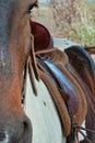 Saddle Royalty Free Stock Photo