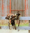 Saddle fence Royalty Free Stock Photo