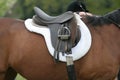 Saddle on Horse Royalty Free Stock Photo