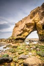 Saddle Rocks at Cullercoats Bay portrait