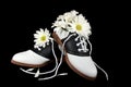 Saddle shoes with daisies Royalty Free Stock Photo