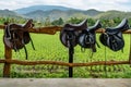 Saddle on wooden fence Royalty Free Stock Photo