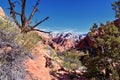 Saddleback Tuacahn desert hiking trail views, Padre Canyon, Cliffs National Conservation Area Wilderness, Snow Canyon State Park