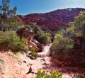 Saddleback Tuacahn desert hiking trail views, Padre Canyon, Cliffs National Conservation Area Wilderness, Snow Canyon State Park