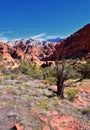 Saddleback Tuacahn desert hiking trail views, Padre Canyon, Cliffs National Conservation Area Wilderness, Snow Canyon State Park