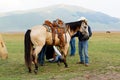 Saddled horse Leather vintage saddle. Among the mountains of Italy. Castelluccio.