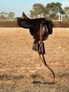 Saddler brown horse mount Royalty Free Stock Photo