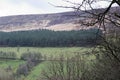 Saddleworth Moor Forest In Distance On Pennines In Manchester Royalty Free Stock Photo
