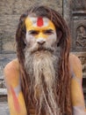 Sadhu Royalty Free Stock Photo