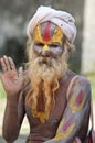 Sadhu Holy Man Royalty Free Stock Photo