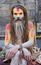 Sadhu (holy man)