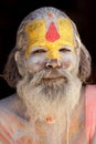 Sadhu portrait Royalty Free Stock Photo