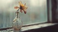 Sadness and grief, A wilted flower in a broken vase on a windowsill fragility. Royalty Free Stock Photo