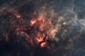 Sadr region with the butterfly and crescent nebula in the constellation of Cygnus Royalty Free Stock Photo