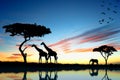 Safari in Africa. Silhouette of wild animals reflection in water Royalty Free Stock Photo