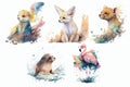 Safari Animal set Ferret, fennec fox, fur seal, fossa, flamingo in watercolor style. Isolated vector illustration