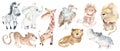 Safari animals for kids. Big set. Cute african animals isolated on white background. Watercolor hand drawn illustration. Royalty Free Stock Photo