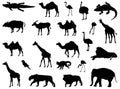 Safari animals silhouette