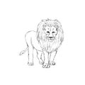 Safari Animals vintage style black and white coloring icons clipart monochrome isolated on white