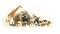 Safari Animals Walking Side Horizontal Banner Royalty Free Stock Photo