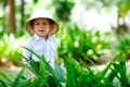 Safari boy Royalty Free Stock Photo