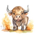 Safari Buffalo watercolor illustration, safari animals clipart